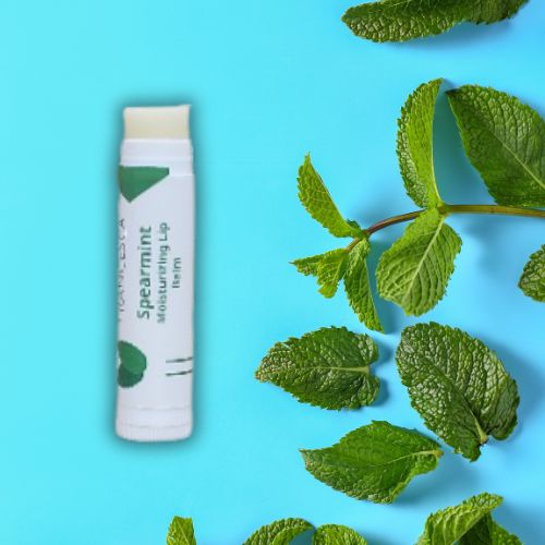 Spearmint lip balm with mint leaves background