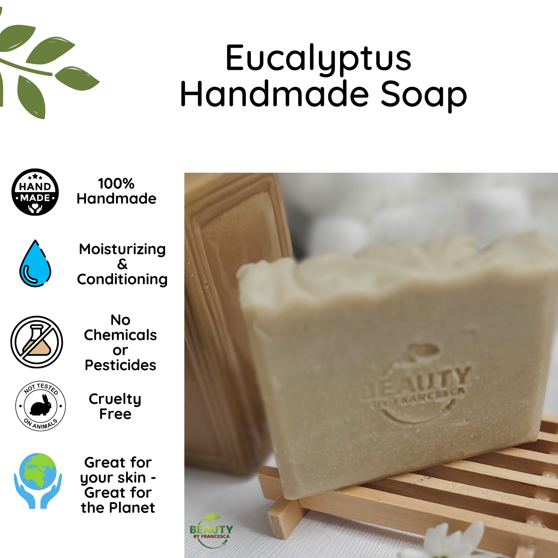 Eucalyptus Handmade Soap Benefits Card Great for skin and planet no chemicals